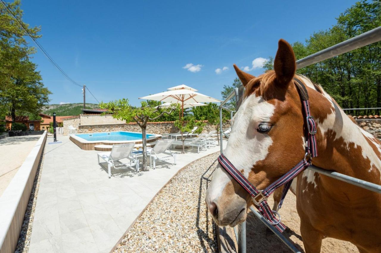 Holiday Home With Swimming Pool, Donkeys And Horses Vrlika Exterior photo