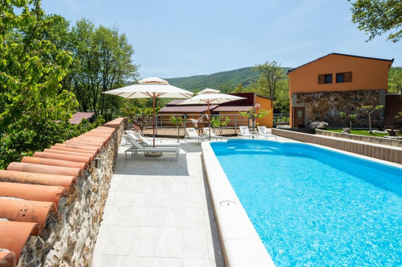 Holiday Home With Swimming Pool, Donkeys And Horses Vrlika Exterior photo